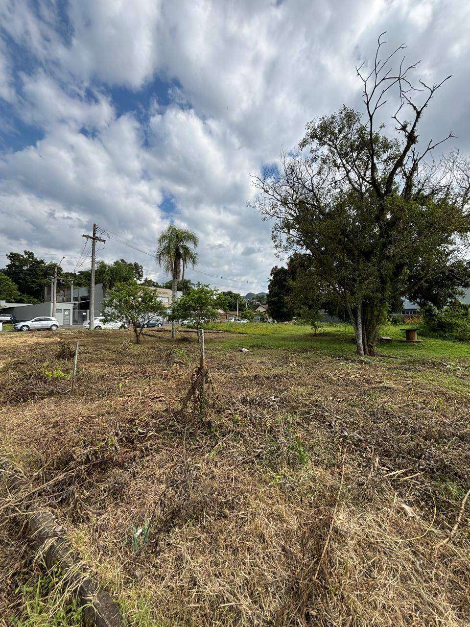 Terreno à venda no bairro Figueira, Igrejinha
