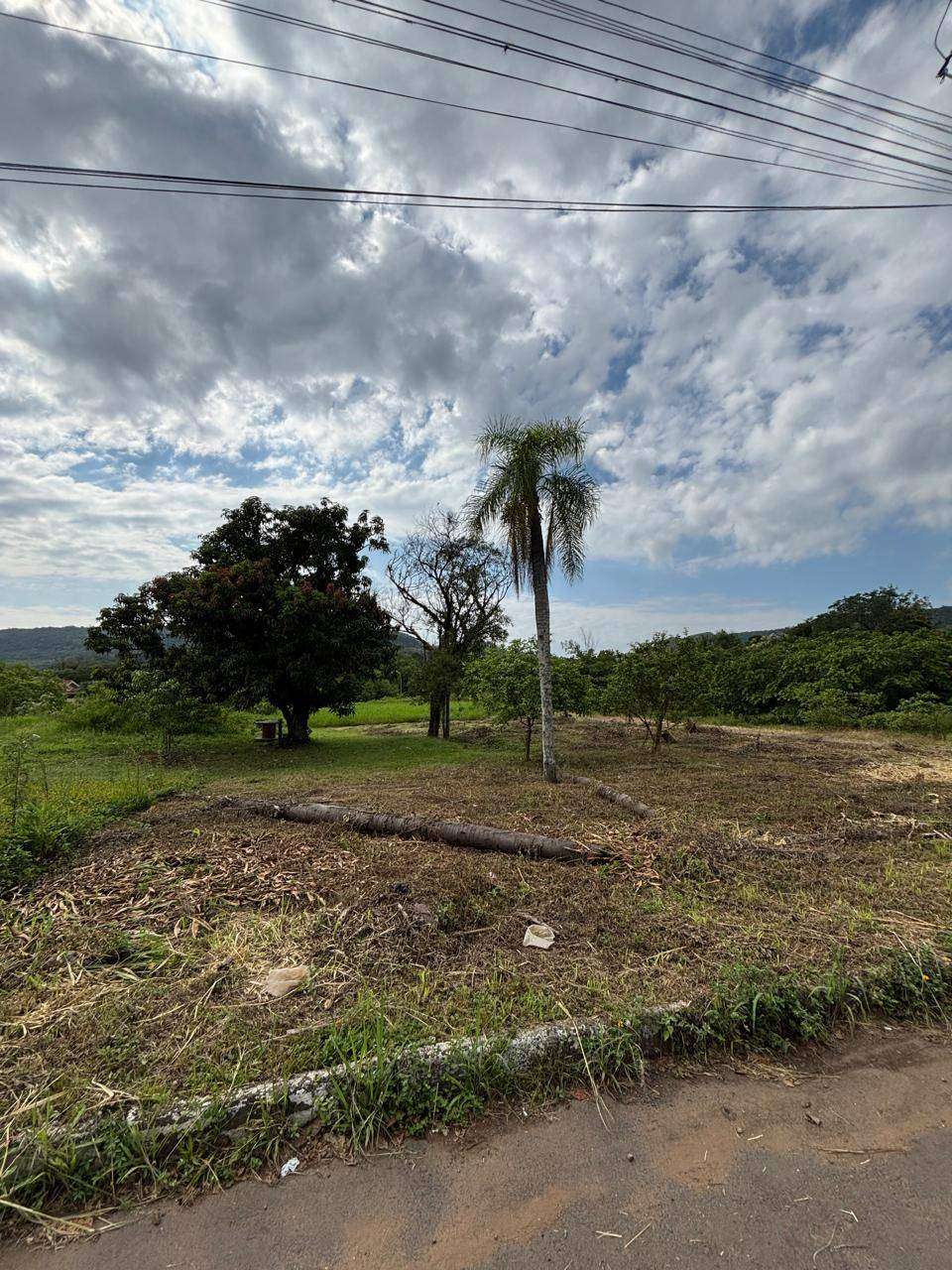 Terreno à venda no bairro Figueira, Igrejinha