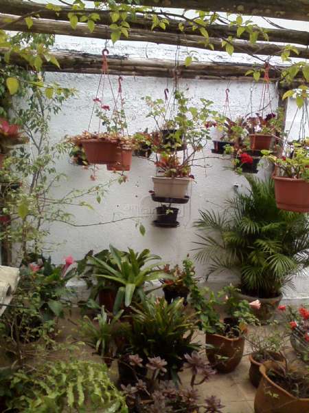 Casa com 3 quartos, 3 banheiros e 180m² à venda no bairro Sao Sebastiao, Porto Alegre
