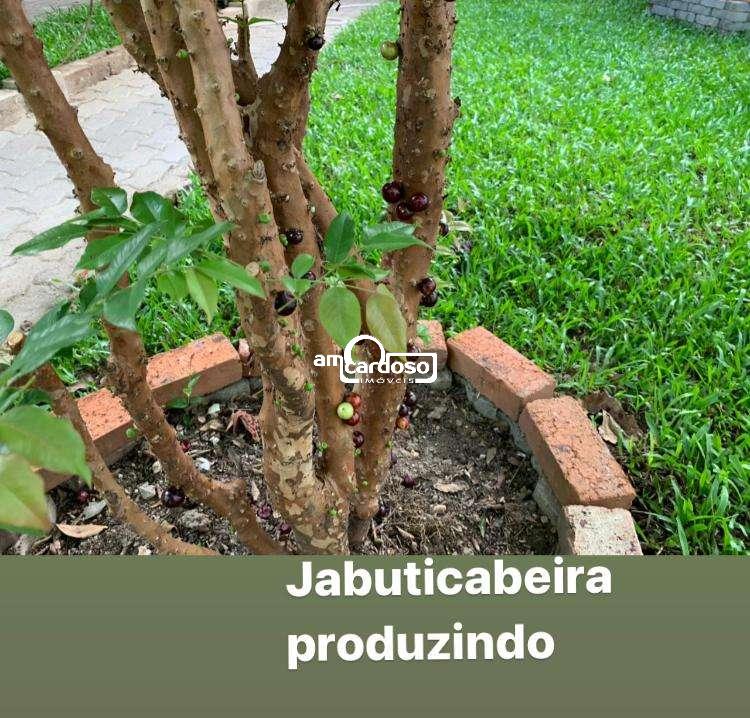 Casa com 4 quartos, 2 banheiros e 367m² à venda no bairro Sao Sebastiao, Porto Alegre