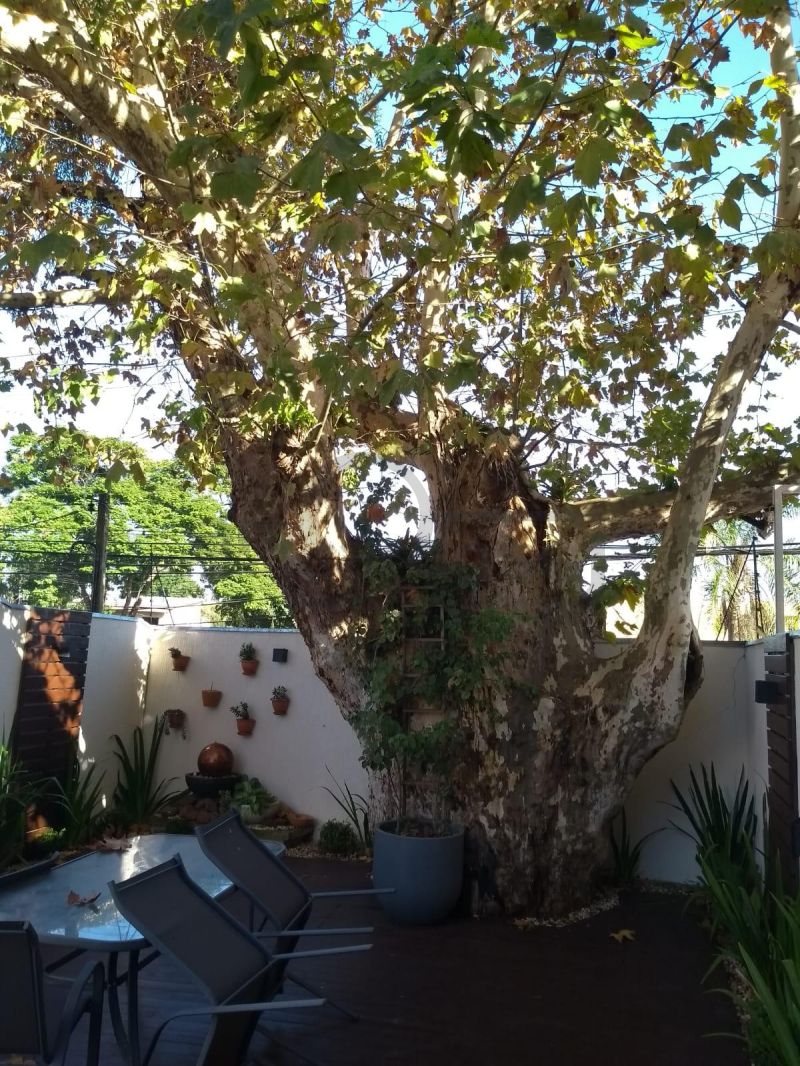 APARTAMENTO DE 1 DORMITÓRIO, SACADA COM CHURRASQUEIRA, GARAGEM COBERTA, INFRA COMPLETA