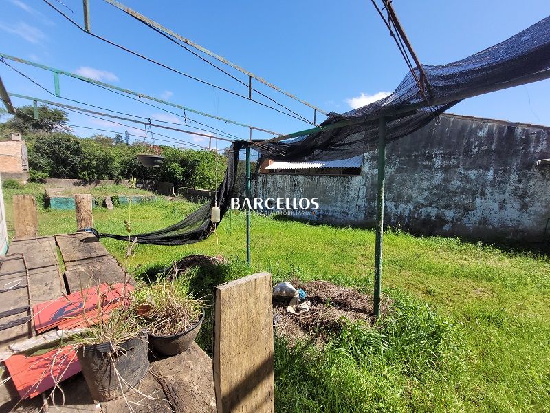 Loja com 1 banheiro e 60m² para alugar no bairro Vila Nova, Porto Alegre