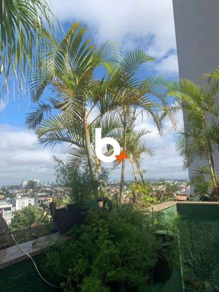 Cobertura com 3 quartos, 4 banheiros e 297m² à venda no bairro Higienopolis, Porto Alegre