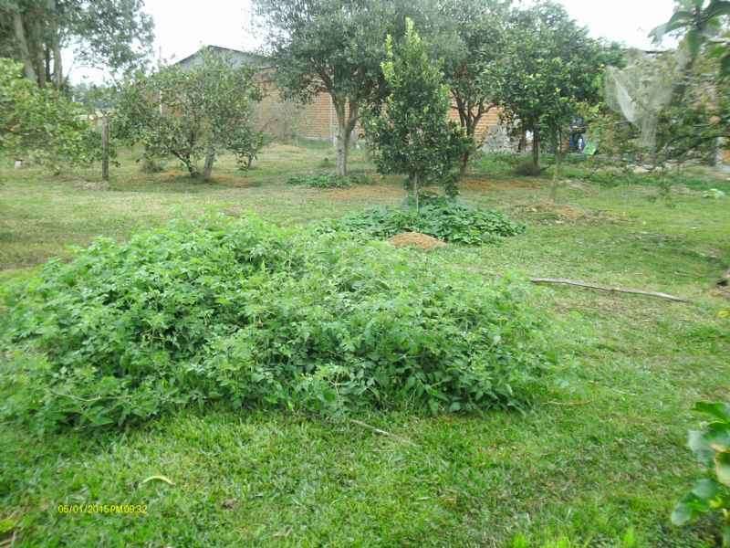 Sítio com 3 quartos, 1 banheiro e 200m² à venda no bairro Fragata, Pelotas