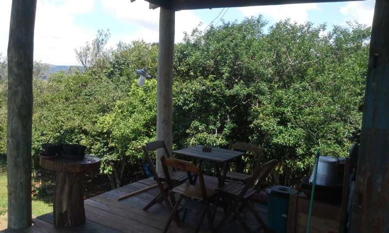 Sítio com 1 quarto, 1 banheiro e 50m² à venda no bairro Centro, Capao do Leao
