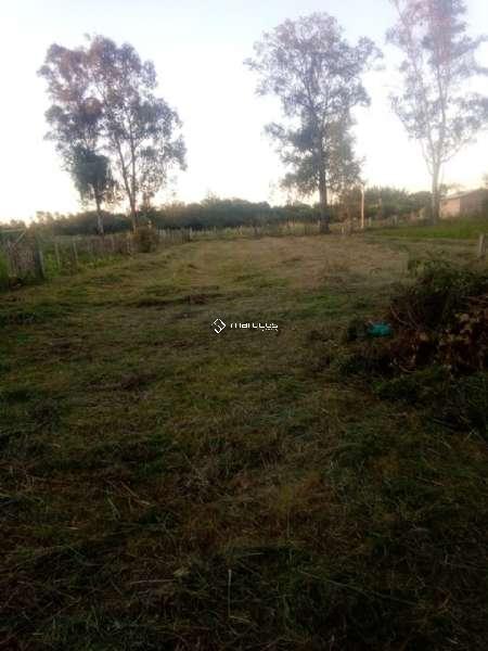 Casa com 2 quartos, 1 banheiro e 75m² à venda no bairro Parque Fragata, Capao do Leao