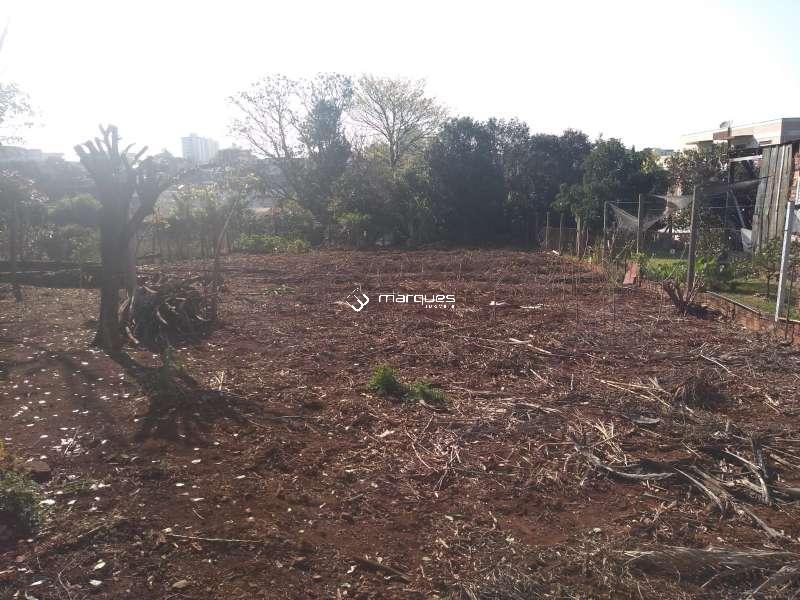 Terreno à venda no bairro Emília, Santo Angelo