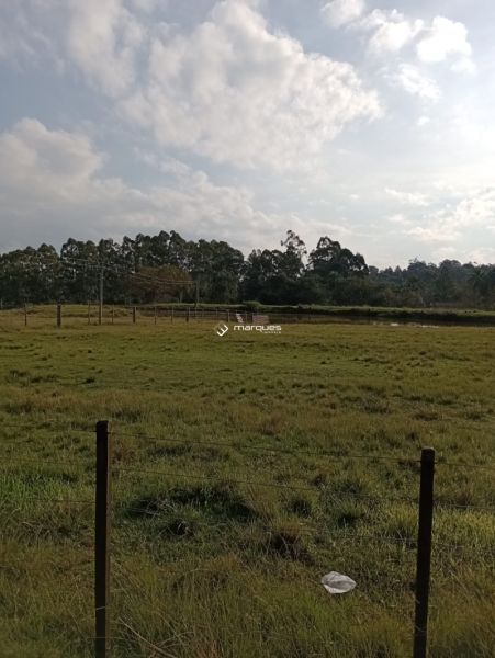 Sítio com 3 quartos e 1 banheiro à venda no bairro Monte Bonito, Pelotas