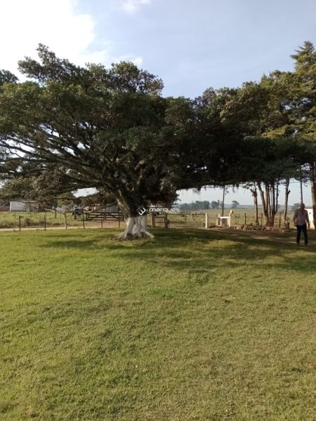 Sítio com 3 quartos e 1 banheiro à venda no bairro Monte Bonito, Pelotas