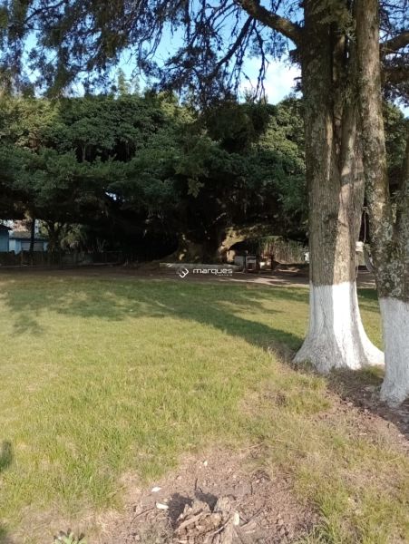 Sítio com 3 quartos e 1 banheiro à venda no bairro Monte Bonito, Pelotas