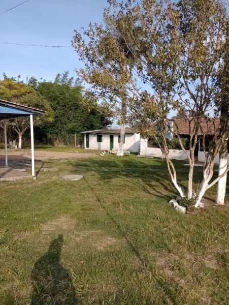 Sítio com 3 quartos e 1 banheiro à venda no bairro Monte Bonito, Pelotas