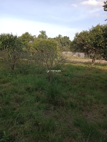 Sítio com 3 quartos e 1 banheiro à venda no bairro Monte Bonito, Pelotas
