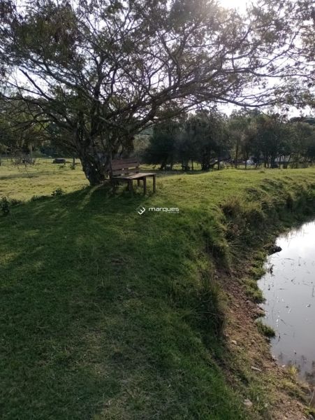 Sítio com 3 quartos e 1 banheiro à venda no bairro Monte Bonito, Pelotas