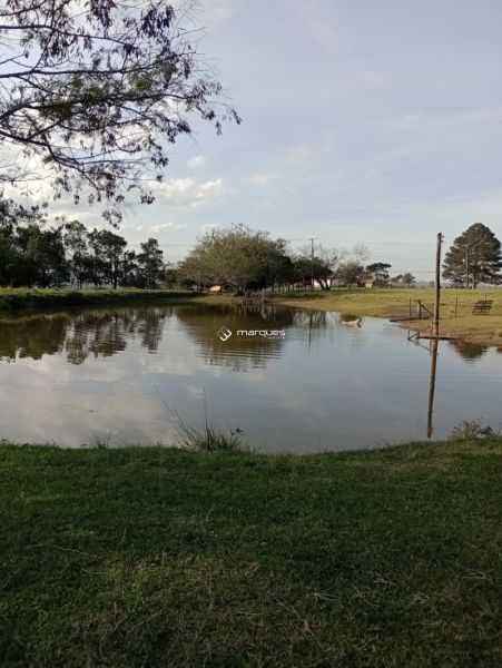 Sítio com 3 quartos e 1 banheiro à venda no bairro Monte Bonito, Pelotas