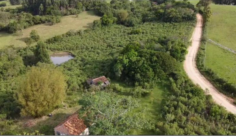 Sítio com 2m² à venda no bairro Colônia, Morro Redondo