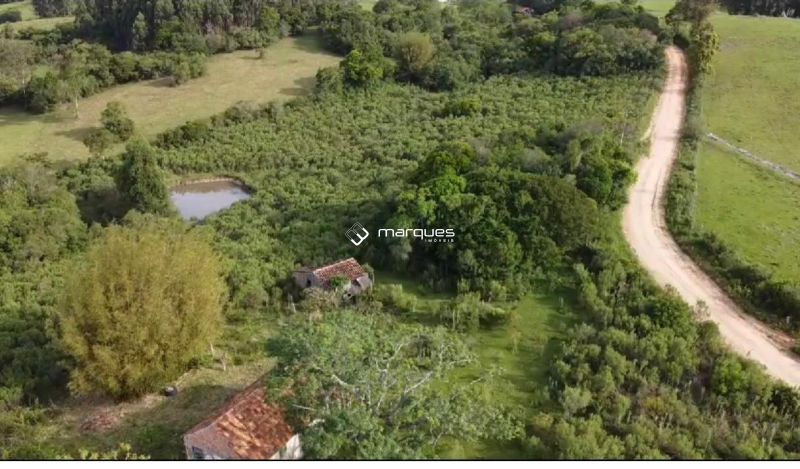 Sítio com 2m² à venda no bairro Colônia, Morro Redondo