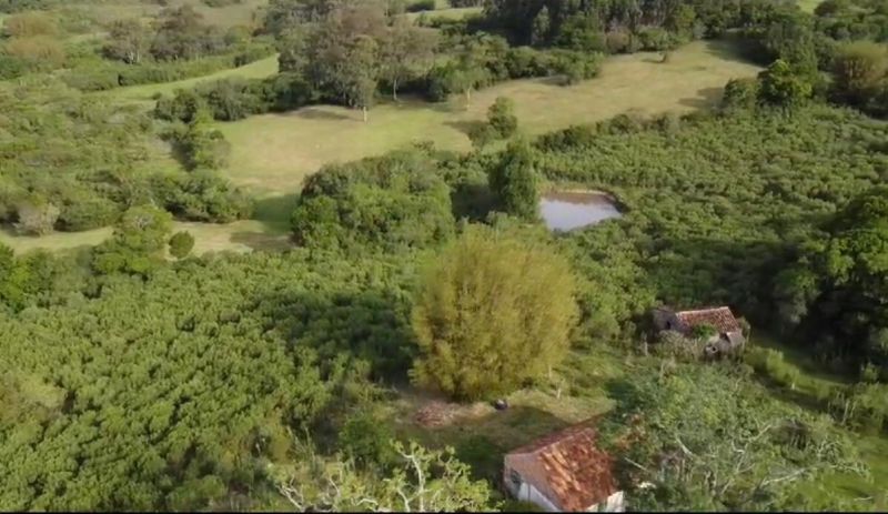 Sítio com 2m² à venda no bairro Colônia, Morro Redondo