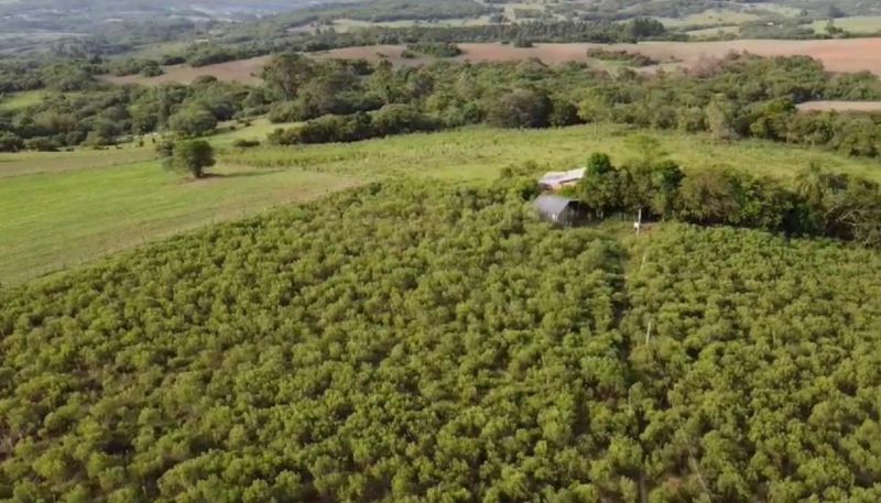 Sítio com 2m² à venda no bairro Colônia, Morro Redondo