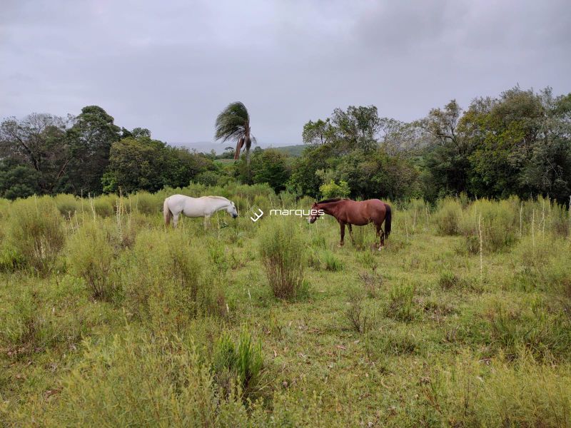 Sítio com 2m² à venda no bairro Colônia, Morro Redondo