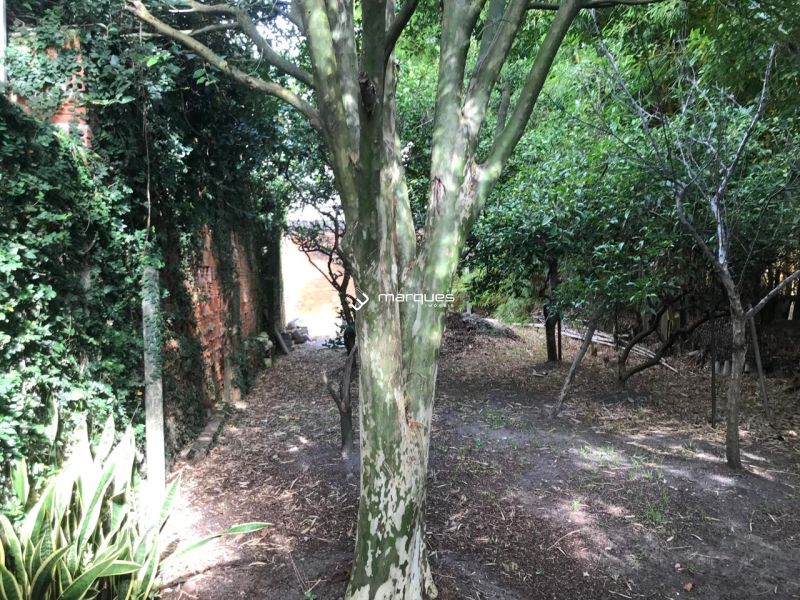Casa com 3 quartos e 2 banheiros à venda no bairro Centro, Pelotas
