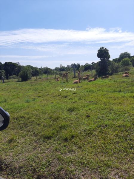 Chácara com 2 quartos e 1 banheiro à venda no bairro Colônia, Morro Redondo