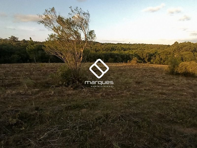 Sítio com 1m² à venda no bairro Colônia, Morro Redondo