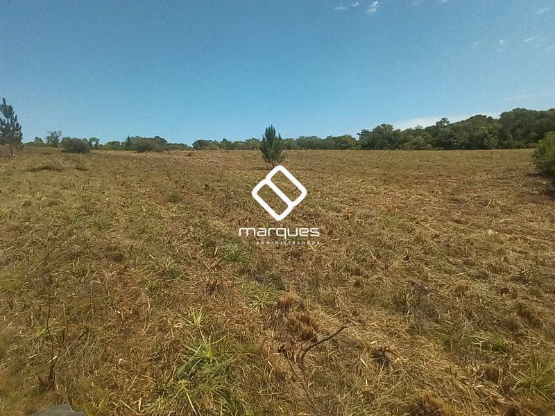 Sítio com 1m² à venda no bairro Colônia, Morro Redondo