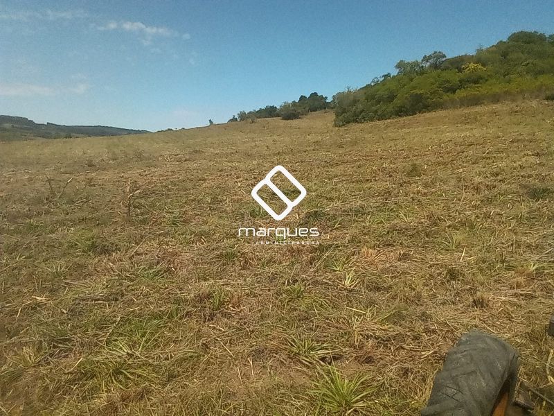 Sítio com 1m² à venda no bairro Colônia, Morro Redondo