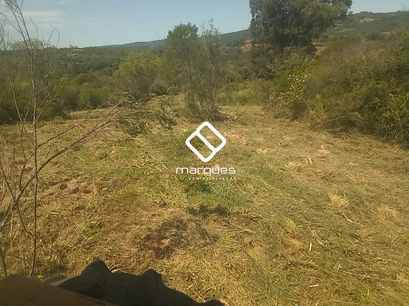 Sítio com 1m² à venda no bairro Colônia, Morro Redondo