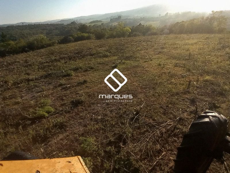 Sítio com 1m² à venda no bairro Colônia, Morro Redondo