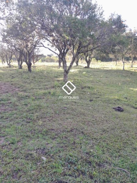Chácara com 2 quartos e 1 banheiro à venda no bairro Colônia, Morro Redondo
