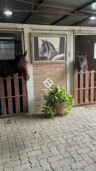 Chácara com 3 quartos e 2 banheiros à venda no bairro Jardim America, Capao do Leao
