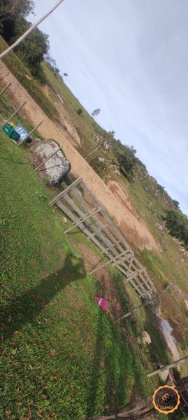 Sítio com 2 quartos e 1 banheiro à venda no bairro Colônia, Pelotas