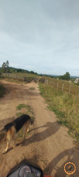 Sítio com 2 quartos e 1 banheiro à venda no bairro Colônia, Pelotas