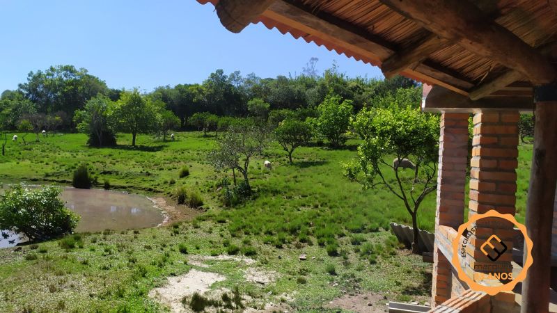 Sítio com 2 quartos, 2 banheiros e 16900m² à venda no bairro Colônia, Pelotas
