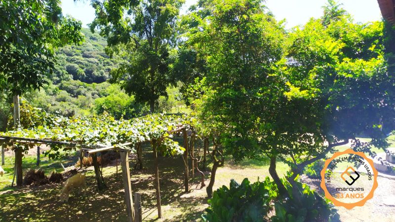 Sítio com 2 quartos, 2 banheiros e 16900m² à venda no bairro Colônia, Pelotas