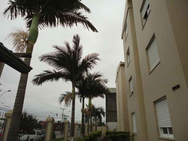 Apartamento - Centro - Pelotas