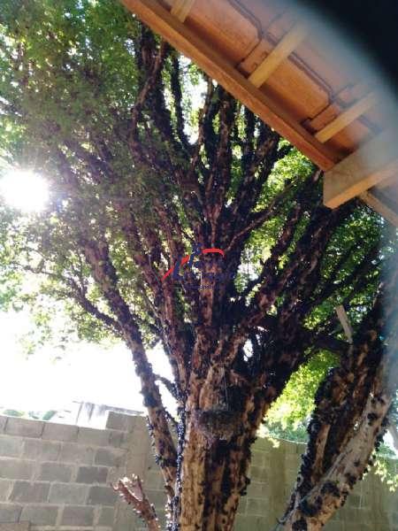 Casa com 4 quartos e 3 banheiros à venda no bairro Sao Dimas, Guaratingueta