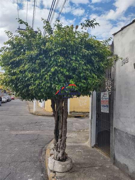 Casa com 3 quartos e 1 banheiro à venda no bairro Campo do Galvao, Guaratingueta
