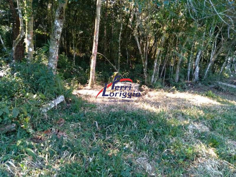 Sitio com 3 quartos e 3 banheiros à venda no bairro Centro, Lagoinha