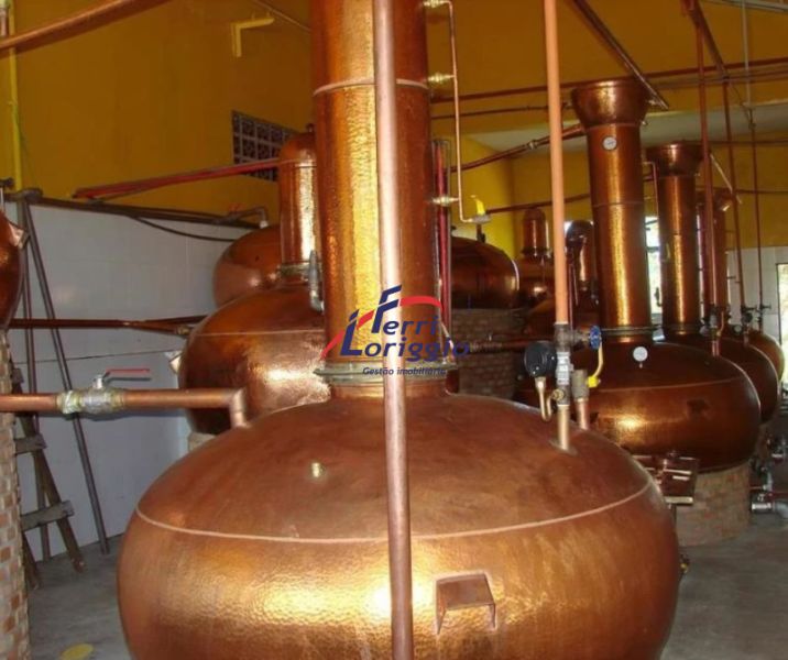 Fazenda com 4 quartos e 4 banheiros à venda no bairro Cedro, Cunha