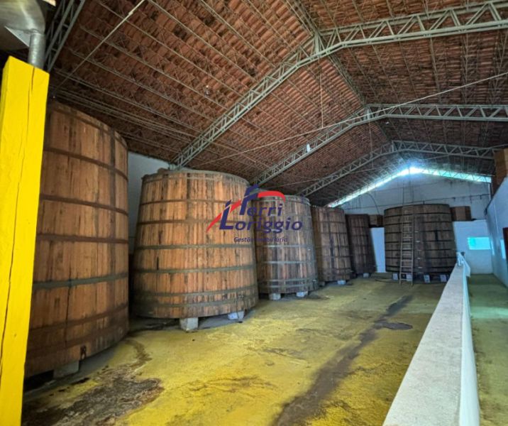 Fazenda com 4 quartos e 4 banheiros à venda no bairro Cedro, Cunha