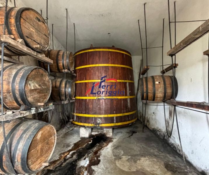 Fazenda com 4 quartos e 4 banheiros à venda no bairro Cedro, Cunha