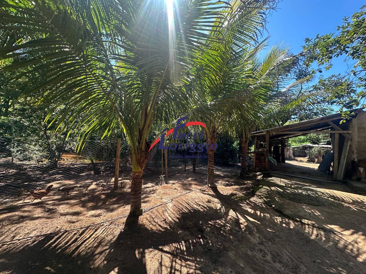 Sitio com 2 quartos e 2 banheiros à venda no bairro Fazendinha, Guaratingueta