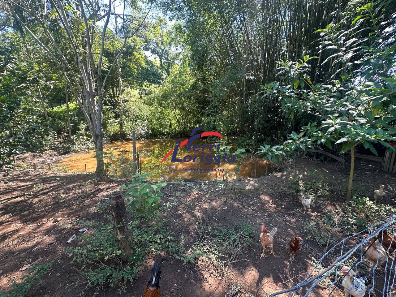 Sitio com 2 quartos e 2 banheiros à venda no bairro Fazendinha, Guaratingueta