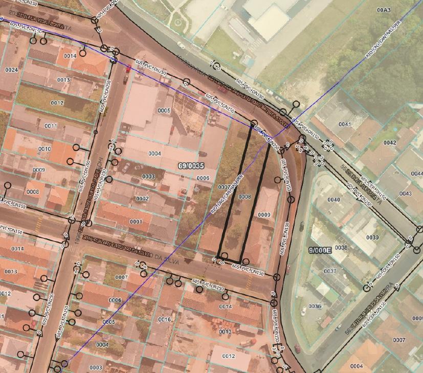 Ary Cardoso da Silva