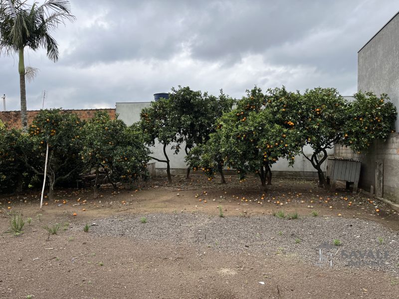 Casa com 1 quarto para alugar no bairro Várzea, Santo Antonio da Patrulha