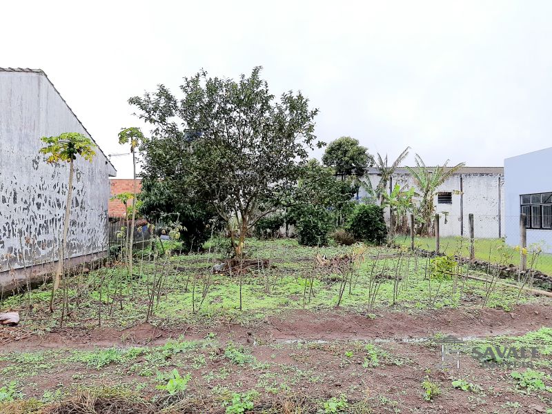 Terreno para alugar no bairro Osolopes, Santo Antonio da Patrulha