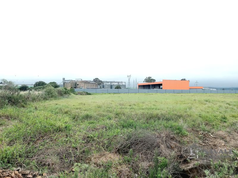 Terreno para alugar no bairro Veloso, Santo Antonio da Patrulha