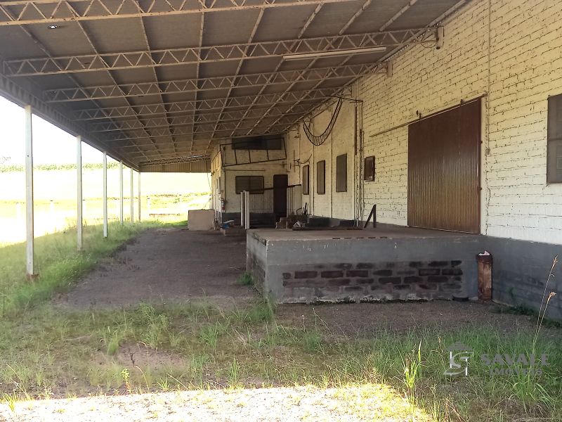 Pavilhão para alugar no bairro Miraguaia, Santo Antonio da Patrulha